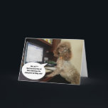 Hund om dator, skamfläck Cat Funny Birthday Kort<br><div class="desc">Hannah pudel verkar lite skyldig - kanske beställde hon leverfödelsedagskalan istället för katten? Skicka någon ett skratt och ett leende med det här roliga kortet med en rädding hund som är lite galet!</div>