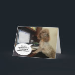 Hund om dator, skamfläck Cat Funny Birthday Kort<br><div class="desc">Hannah pudel verkar lite skyldig - kanske beställde hon leverfödelsedagskalan istället för katten? Skicka någon ett skratt och ett leende med det här roliga kortet med en rädding hund som är lite galet!</div>
