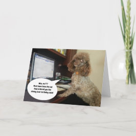 Hund om dator, skamfläck Cat Funny Birthday Kort
