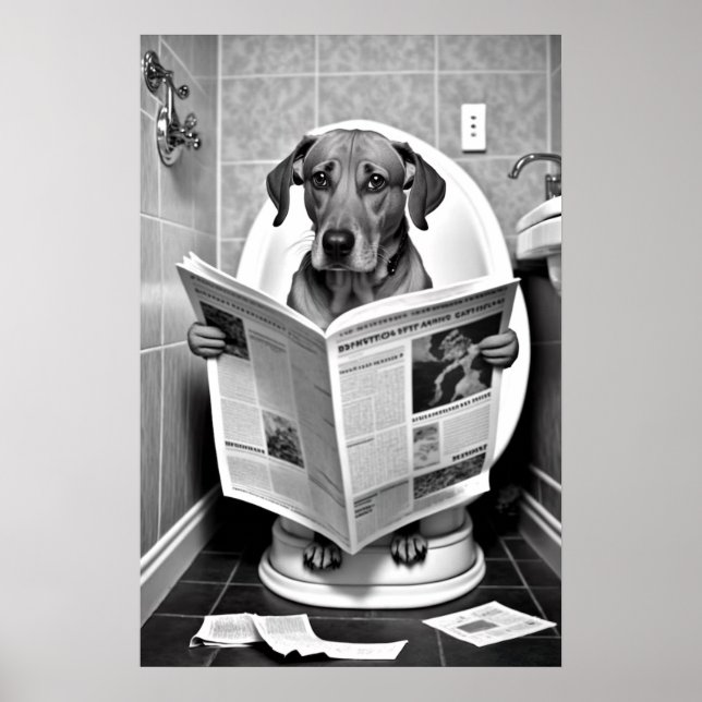 Hund om Toilet Reading a Newspaper Poster (Framsidan)