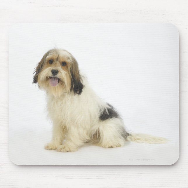 Hund om vit 104 musmatta (Framsidan)