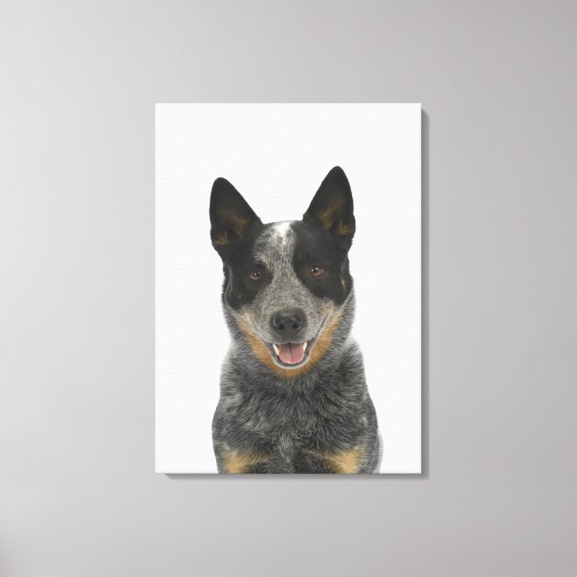 Hund om Vit 5 Canvastryck (Framsida)