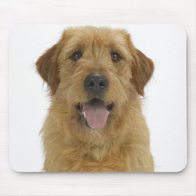 Hund om Vita 44 Musmatta (Framsidan)