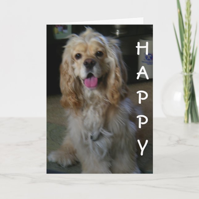 "HUND-ON BRA BIRTHDAY" säger COCKER SPANIEL Kort (Framsida)