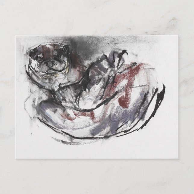 Hund Otter Vykort (Framsida)