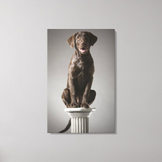 hund på en pedestal canvastryck
