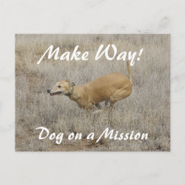 Hund på en Uppdrag Vykort