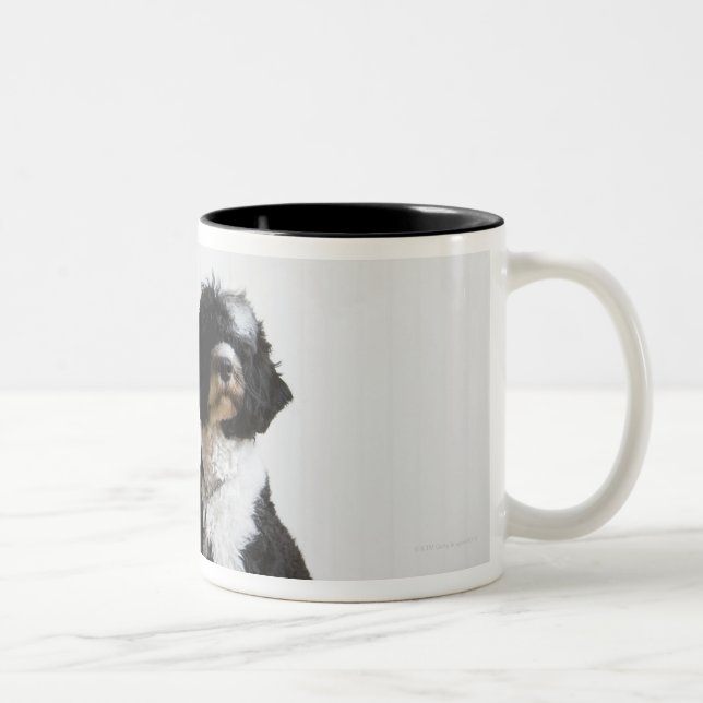 hund på ett koppel Två-Tonad mugg (Höger)