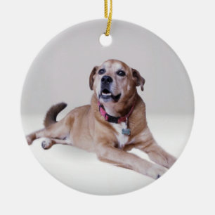 Hund på ett prydnadsföremål julgransprydnad keramik