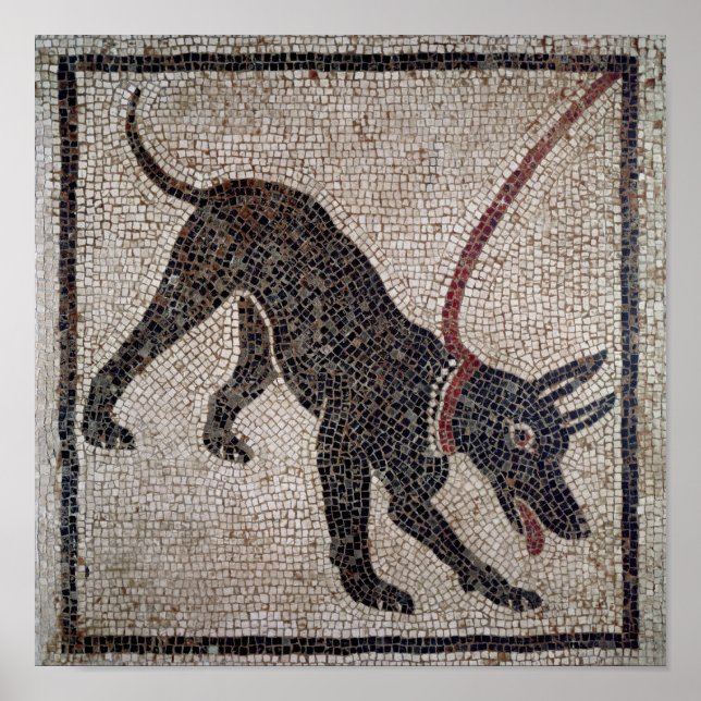 Hund på ett utslag från Pompeji Poster (Framsidan)