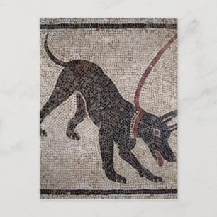 Hund på ett utslag från Pompeji Vykort