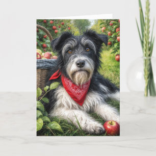 Hund på födelsedagen i ett Apple Orchard Kort