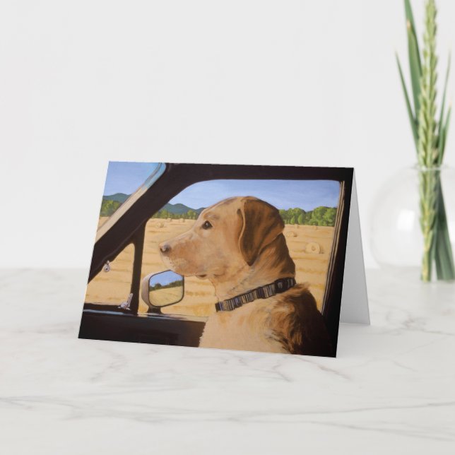 Hund på gå kort (Framsida)