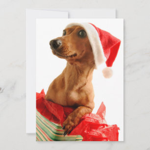 Hund på gåva med den Santa hatten Julkort