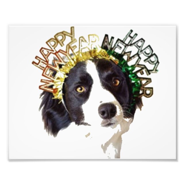 Hund på Gott nytt år Hat Fototryck (Framsidan)
