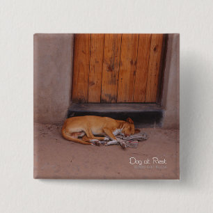 Hund på knappen Rest Square Knapp