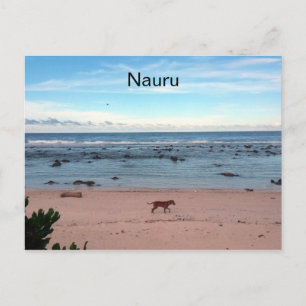hund på nauru strand vykort