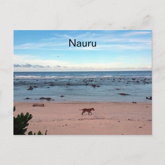 hund på nauru strand vykort (Framsida)
