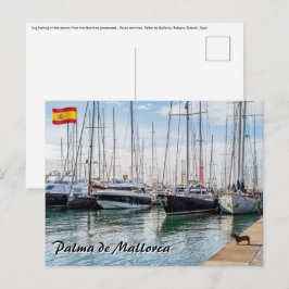 Hund på Paseo maritimo - Palma de Mallorca Vykort