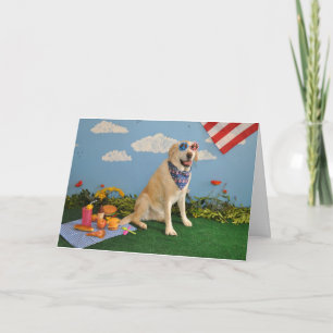 Hund på picknicken, amerikanska flaggan kort