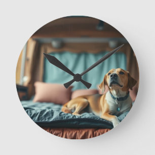 Hund på säng rund klocka