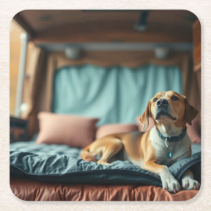 Hund på säng underlägg papper kvadrat
