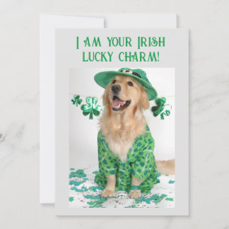 Hund på St. Patrick's Day Funny Anpassade Julkort