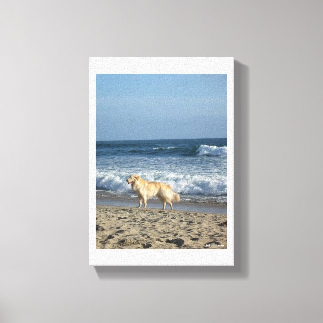 Hund på stranden canvastryck (Framsida)
