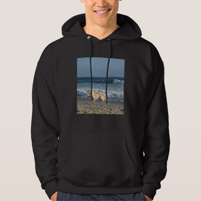 Hund på stranden hoodie (Framsida)