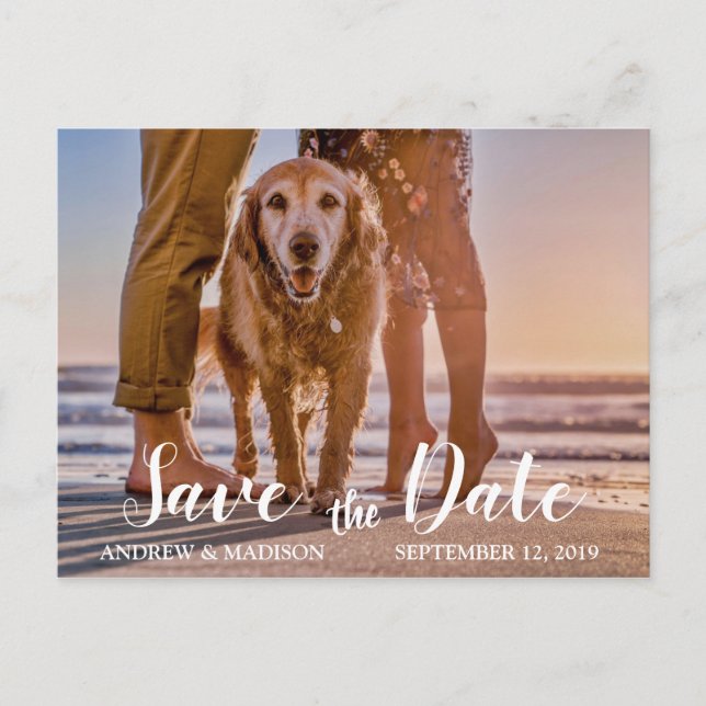 Hund på stranden med par Save the Date Meddelande Vykort (Framsida)