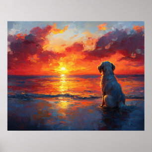 Hund på stranden som tittar på solnedgången poster