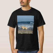 Hund på stranden