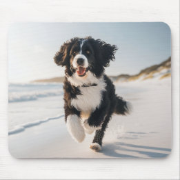 Hund på strandmuspekaren musmatta
