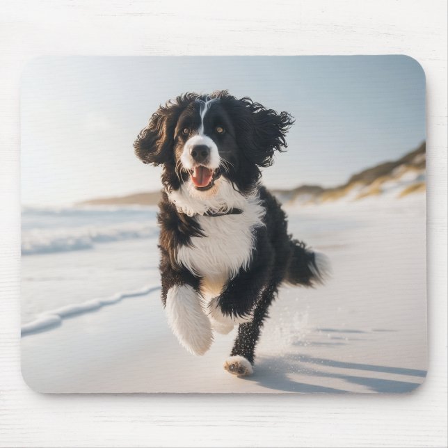 Hund på strandmuspekaren musmatta (Framsidan)