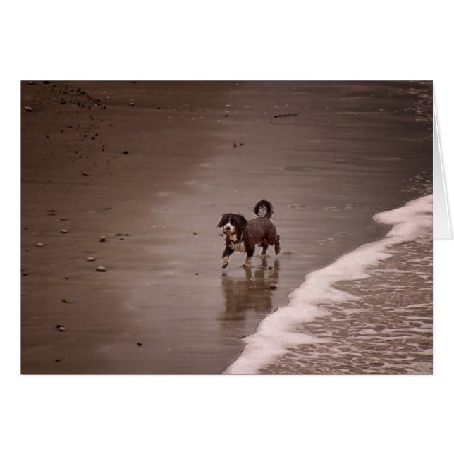 Hund på struphuvudet Sepia Toned Blank OBS Kort (Framsidan Horizontal)