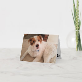 Hund på tomt anteckningskort med tass avtryck