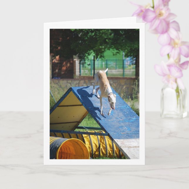 Hund på Träningsläger Kort (Orkide)