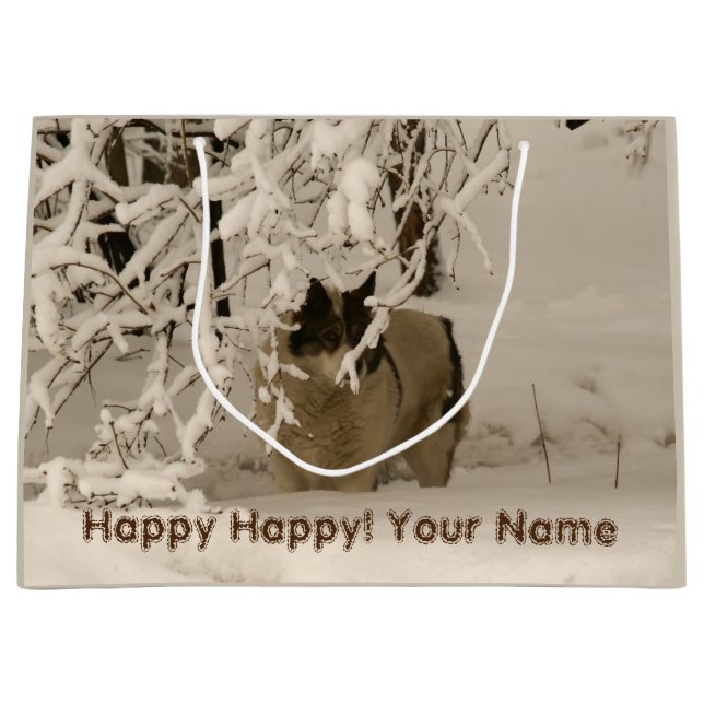 Hund på vintern (Framsidan)