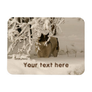 Hund på vintern magnet