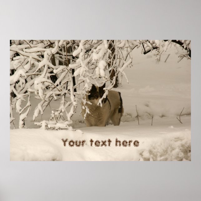 Hund på vintern poster (Framsidan)