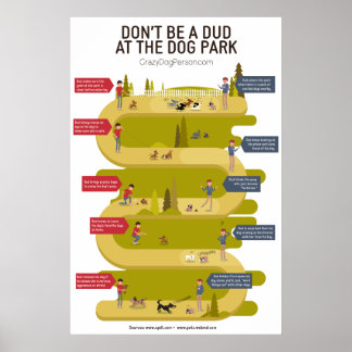 Hund Park Etiquette 101 Infografik Poster