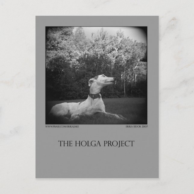 Hund Park-vykort 12 Vykort (Framsida)