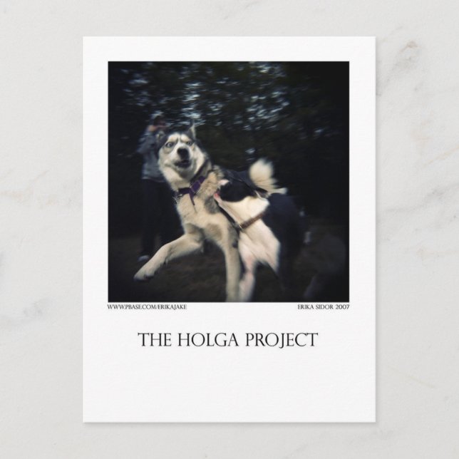 Hund Park-vykort 13 Vykort (Framsida)