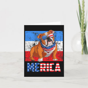 Hund Patriotisk Usa 4:e Juli Amerikansk Flagga Mer Kort