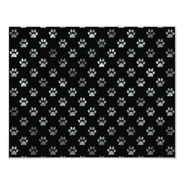 Hund Paw Print Silver Grått Black Background  Fototryck (Framsidan)