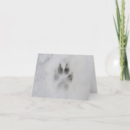 Hund Paw-utskrift i Snö Helgkort