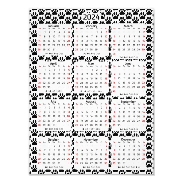 Hund Pawprint Mönster 2024-kalender Fototryck (Framsidan)