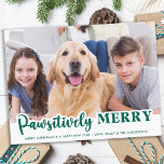 Hund Pawsitive Merry Cute Personlig Pet Photo Helg Vykort<br><div class="desc">Vi presenterar vår nya helgdagskort, perfekt för familjer med hårigets vänner! Vår "Pawsitively Merry"-samling har en mängd roligt och festliga utformningar som visar dina älskade husdjur på ett sött och lekfullt sätt. Oavsett om du har en hund eller en katt kan du välja mellan ett urval av moderna, roliga, reflekterande,...</div>