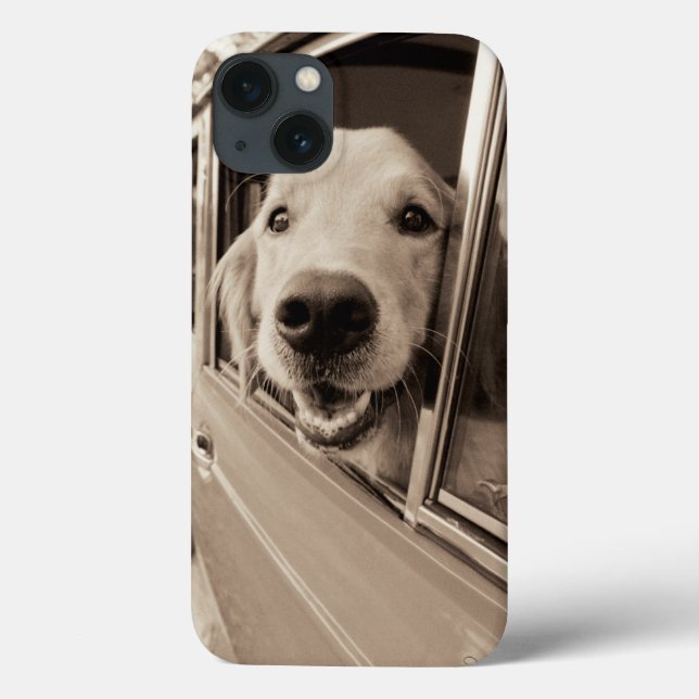 Hund Peeka ut ett bilfönster (Baksida)