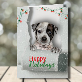 Hund Peeking jul Ljus Helgdag Card